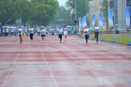 6.gif