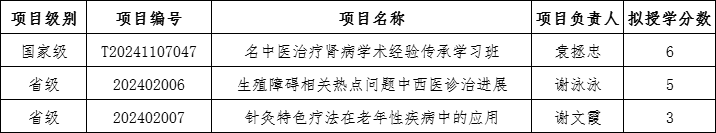 项目汇总表.jpg
